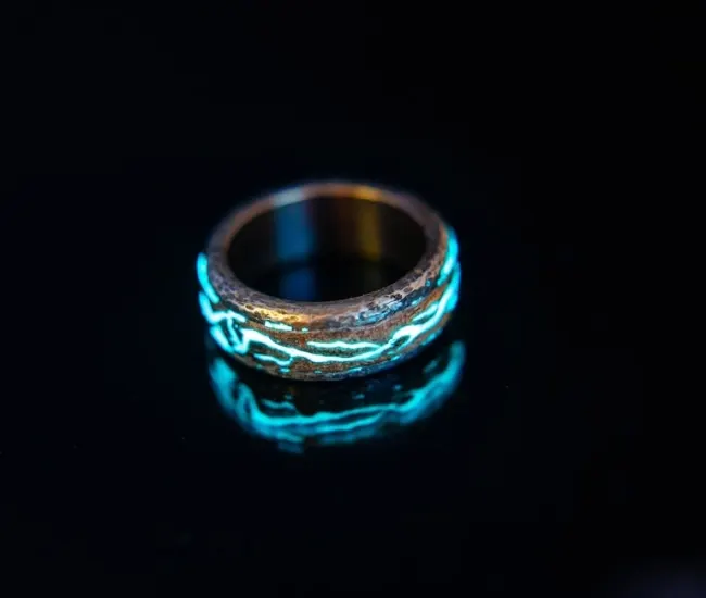 Anillo Luminoso de Acero Inoxidable y Madera de Fresno