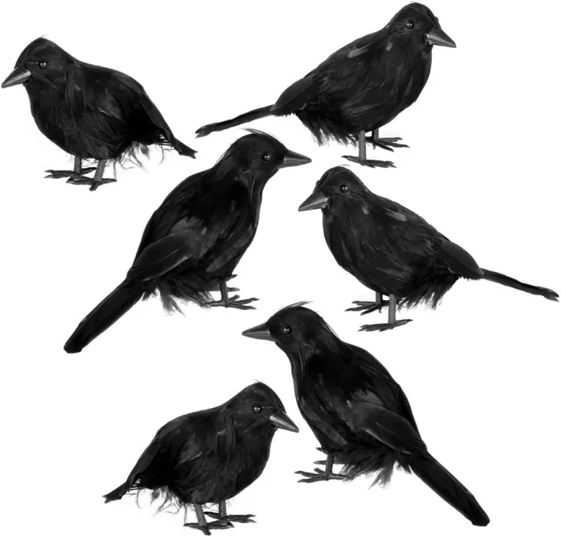 Cuervos falsos de Halloween JOYIN: pack de 6 figuras realistas