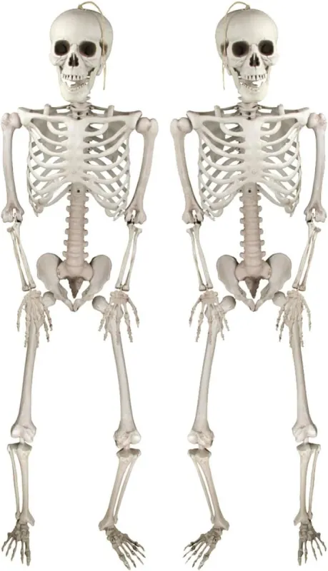 Esqueleto decoración Halloween: 2 esqueletos posables de 41 cm