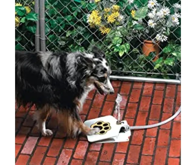 Fuente de agua con pedal para perros - La solución perfecta para mantener a tu perro hidratado
