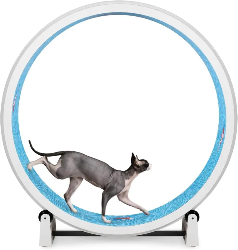 Rueda de ejercicio para gatos One Fast Cat Gen 7