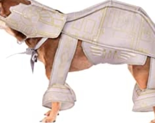 Disfraz de Star Wars para ...