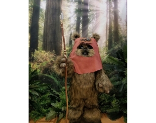 Figura de Wicket Ewok a Ta...