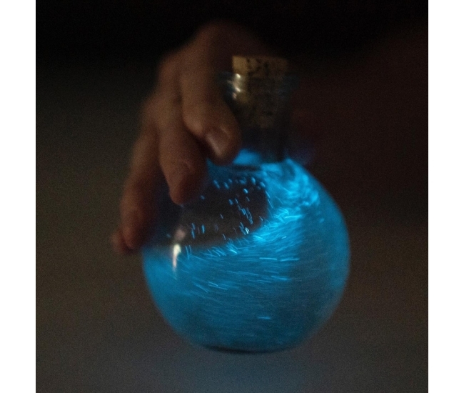 Botella de poción bioluminiscente: la luz mágica que tu hogar necesita