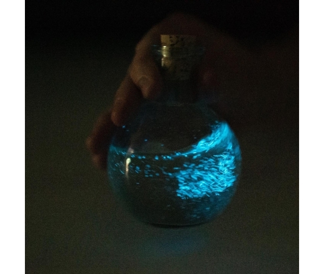 Botella de poción bioluminiscente: la luz mágica que tu hogar necesita