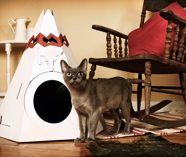 Cama tipi para gatos: el regalo original y divertido que tu mascota merece