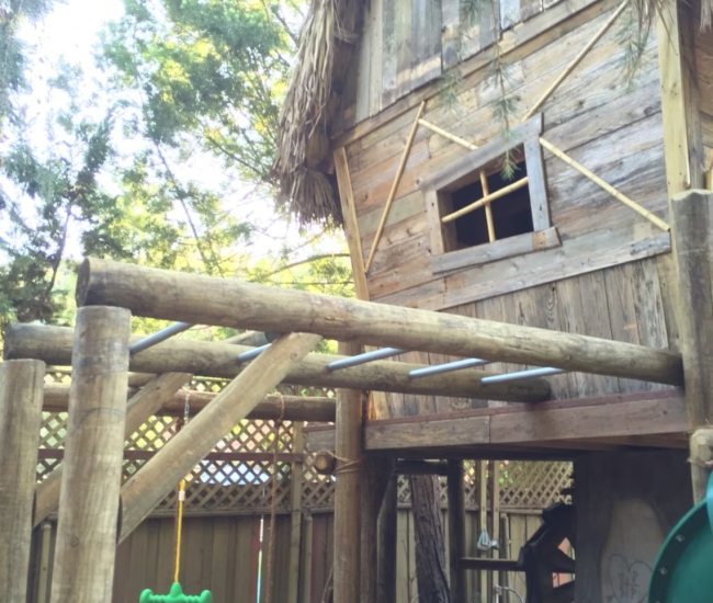 La casa del arbol de Tarzán naufrago