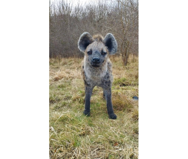 Peluche de hiena realista: el regalo salvaje y original perfecto