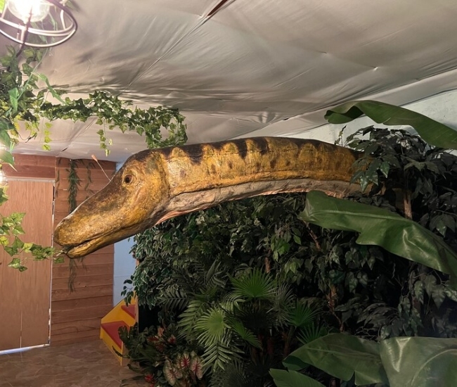 Réplica gigante de cabeza y cuello de diplodocus: añade encanto prehistórico a tu jardín