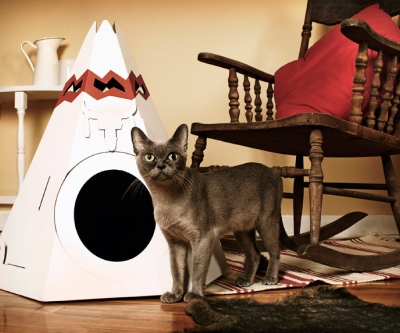 Cama tipi para gatos: el r...