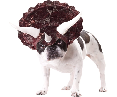 Disfraz Triceratops de Animal Planet para perros - Haz que tu perro sea un dinosaurio
