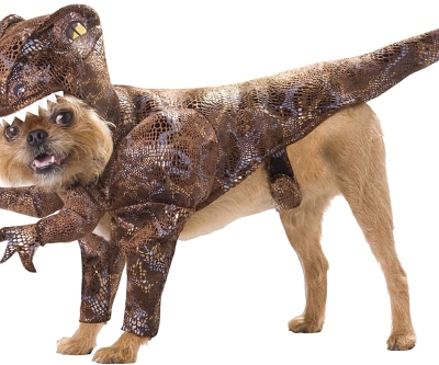 Disfraz de Raptor para perro: el atuendo más original para tu peludo amigo