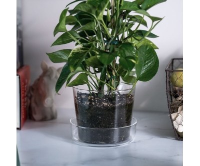 Jardinera de cristal transparente Sheer Pots: el toque moderno para tus plantas
