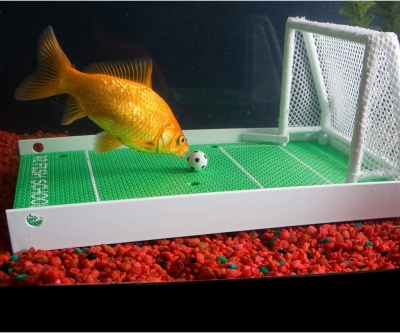 Juego de fútbol Goldfish: entrena a tu pez para ser una estrella