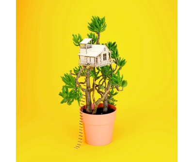 Mini casas de árbol para plantas de interior - Dale un toque mágico a tus plantas!