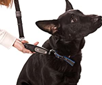 Tug Preventing Dog Trainer: la herramienta para pasear con tu perro sin esfuerzo